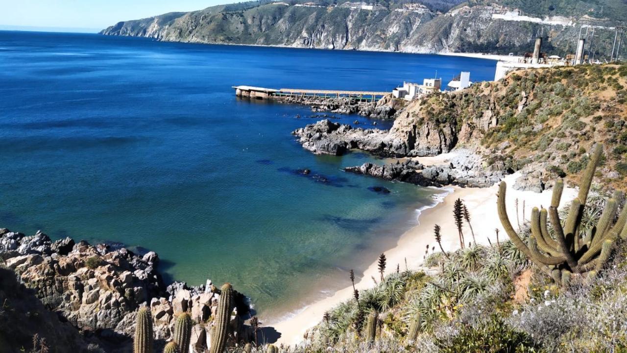 Terrazas De Laguna *